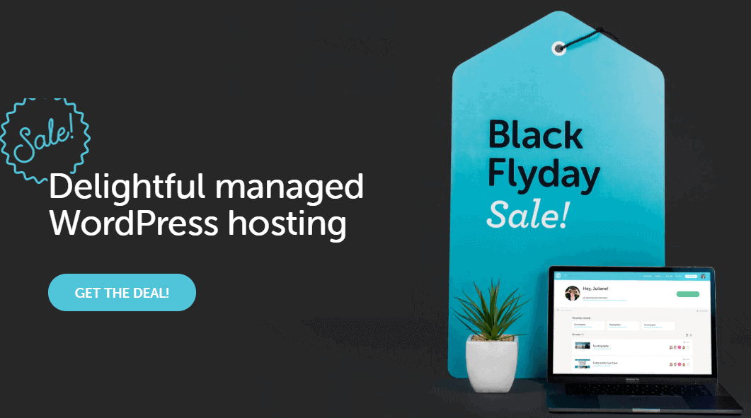 Flywheel Web Hosting Black Friday Deals Flywheel Web Hosting Black Friday Deals